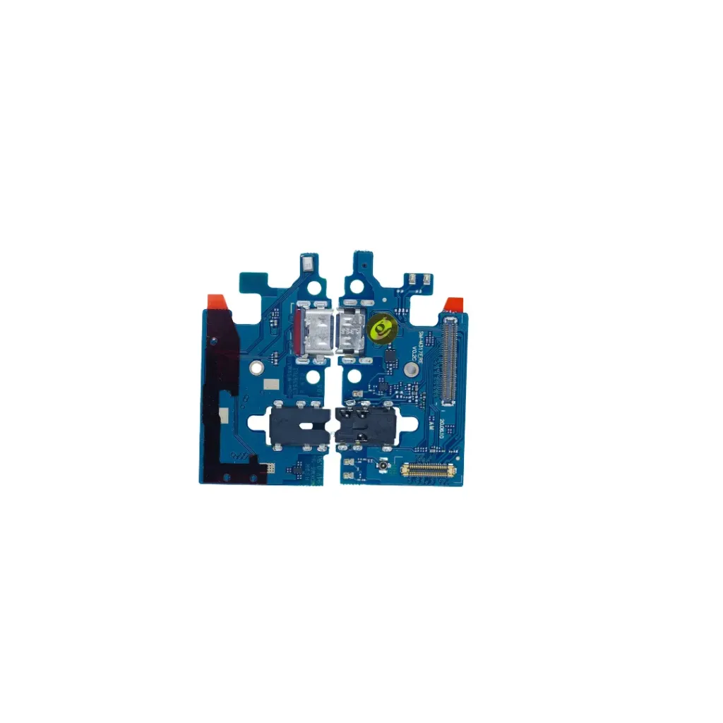 BOARD CHARGE SAM M31S-M317 (S/OR)